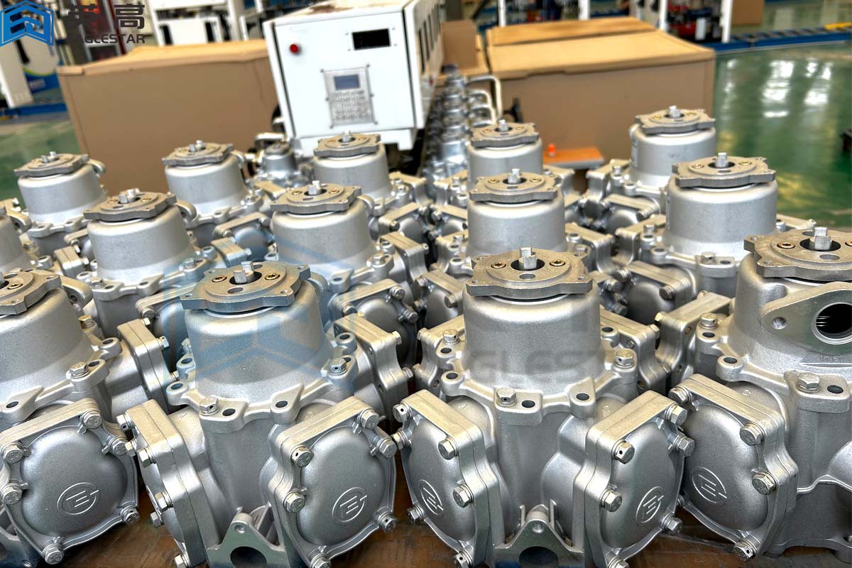 EG fuel dispenser flow meter EG fuel dispenser flow meter